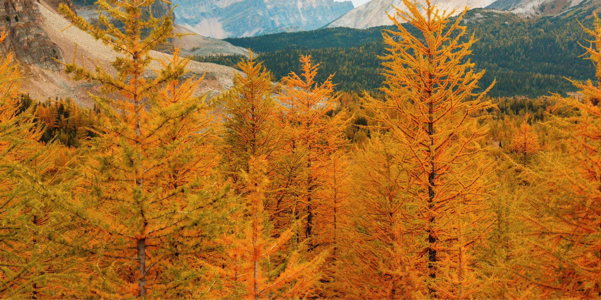 Visiting Moena in autumn